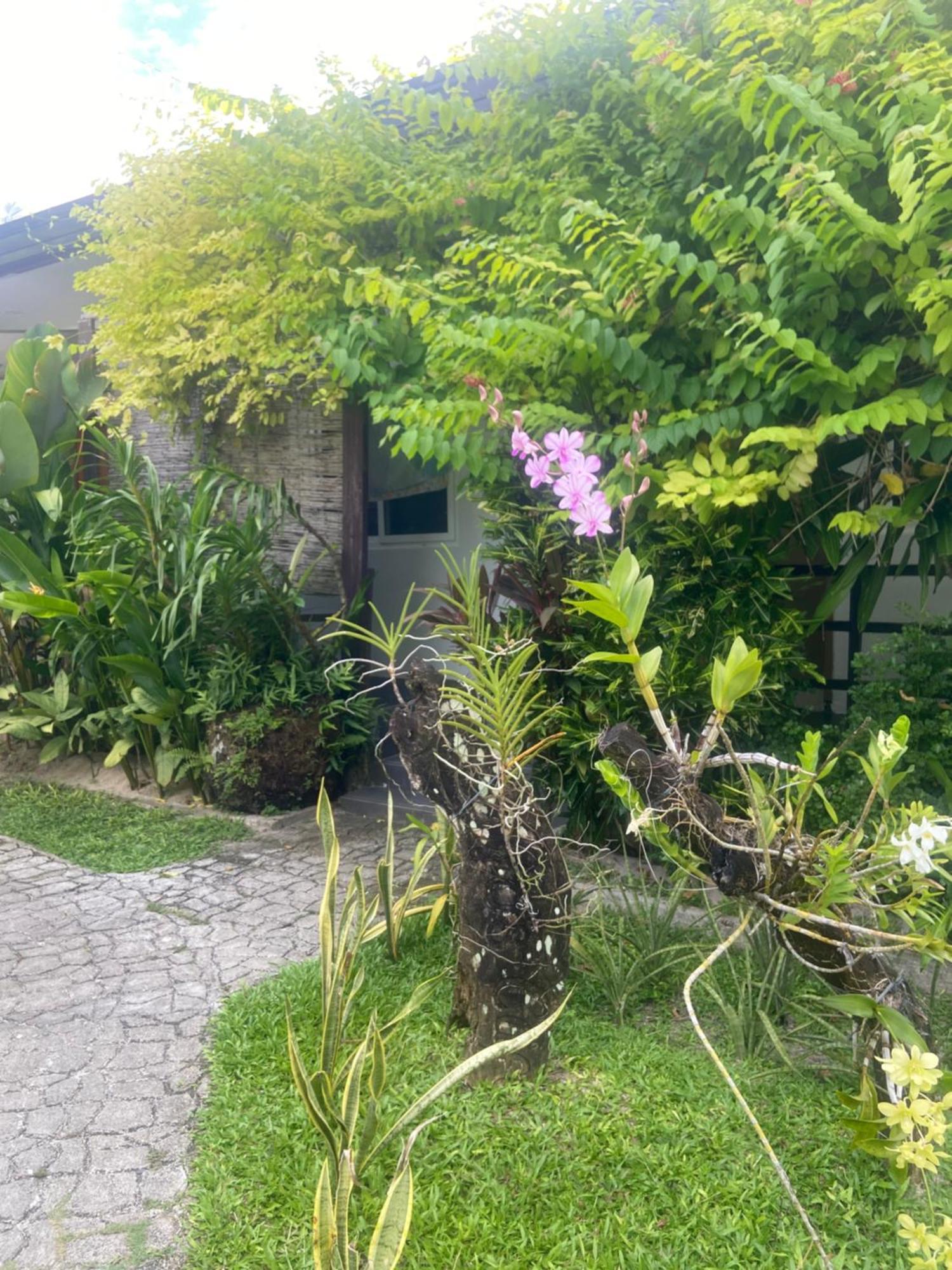 Vivo Siargao Hotell General Luna  Eksteriør bilde
